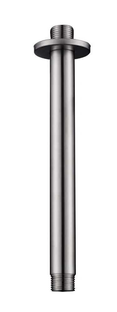 304 douchearm met plafondbevestiging rond 20 cm geborsteld RVS