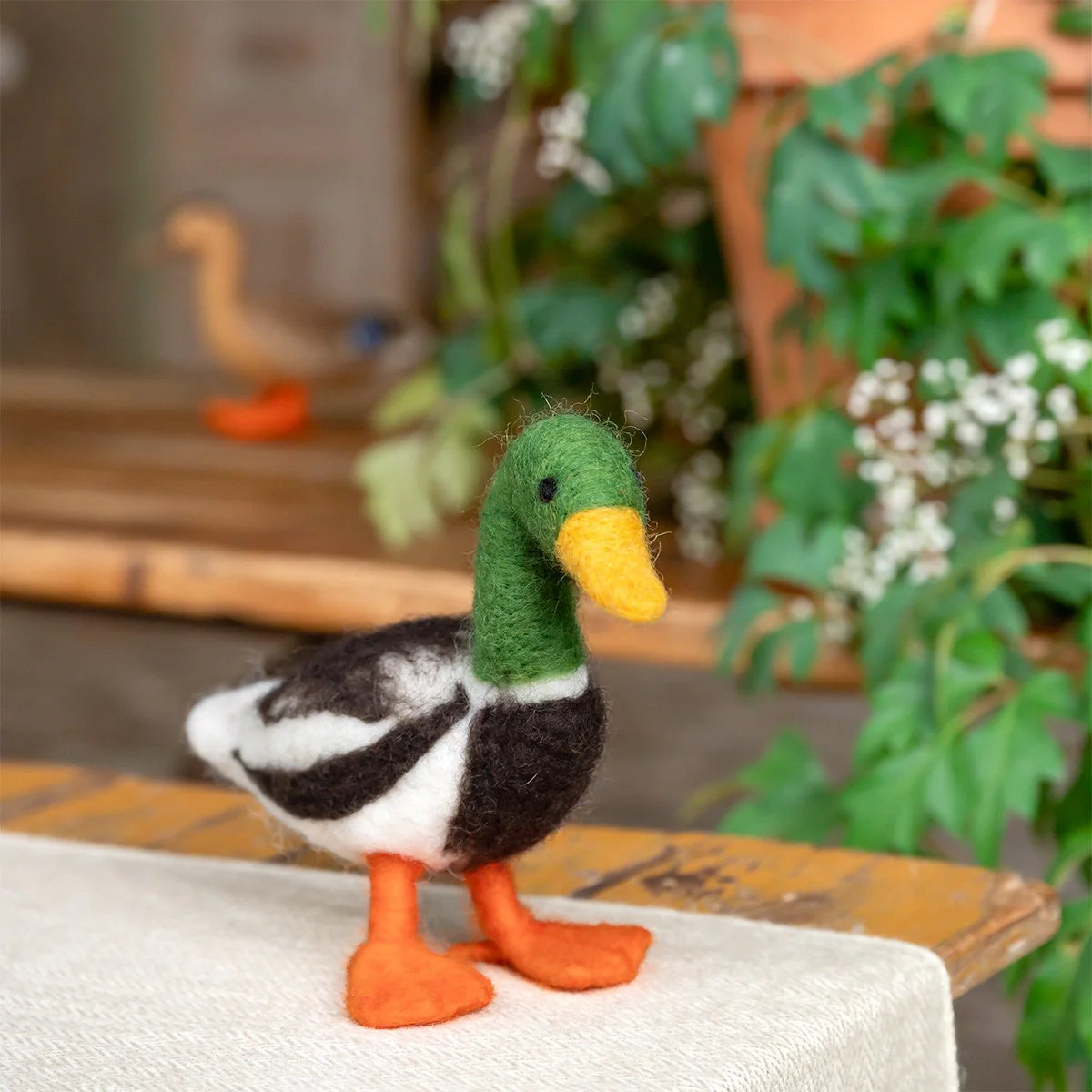 Vilten Wilde Eend – Woerd