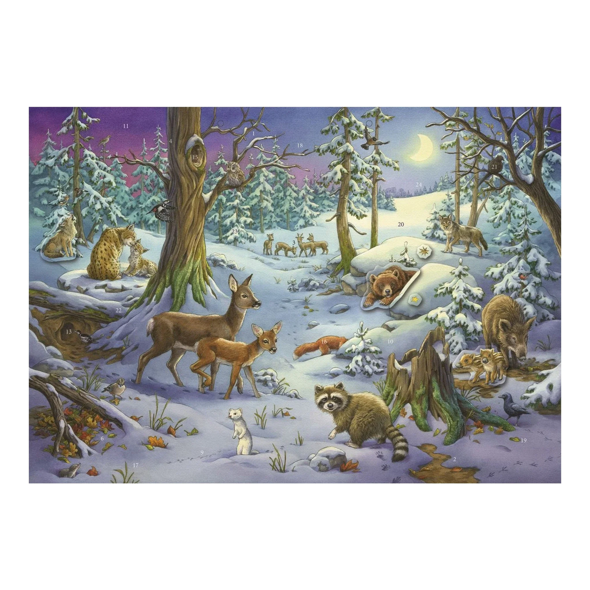 Adventskalender – Animals in the Winter Forest