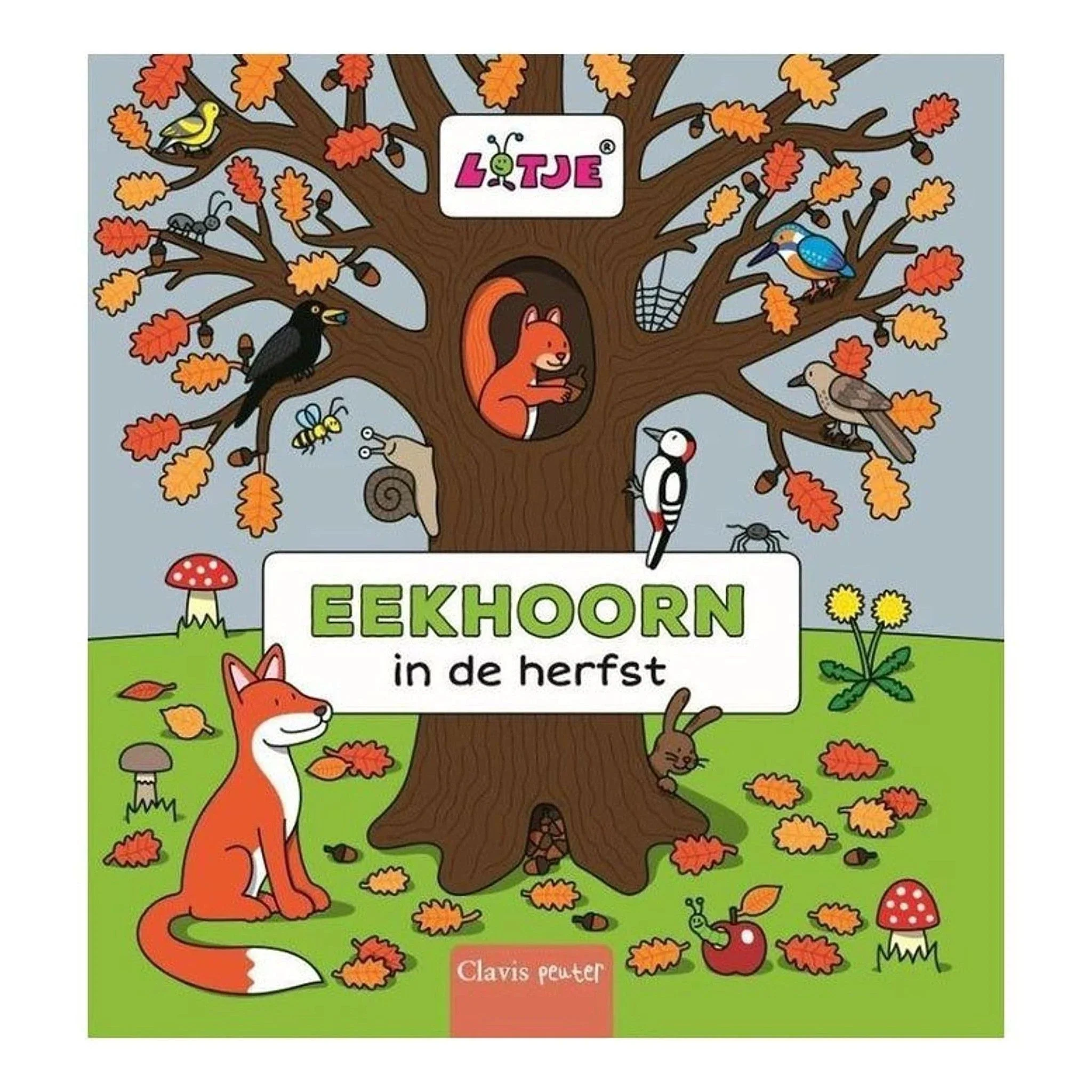 Eekhoorn  – in de herfst