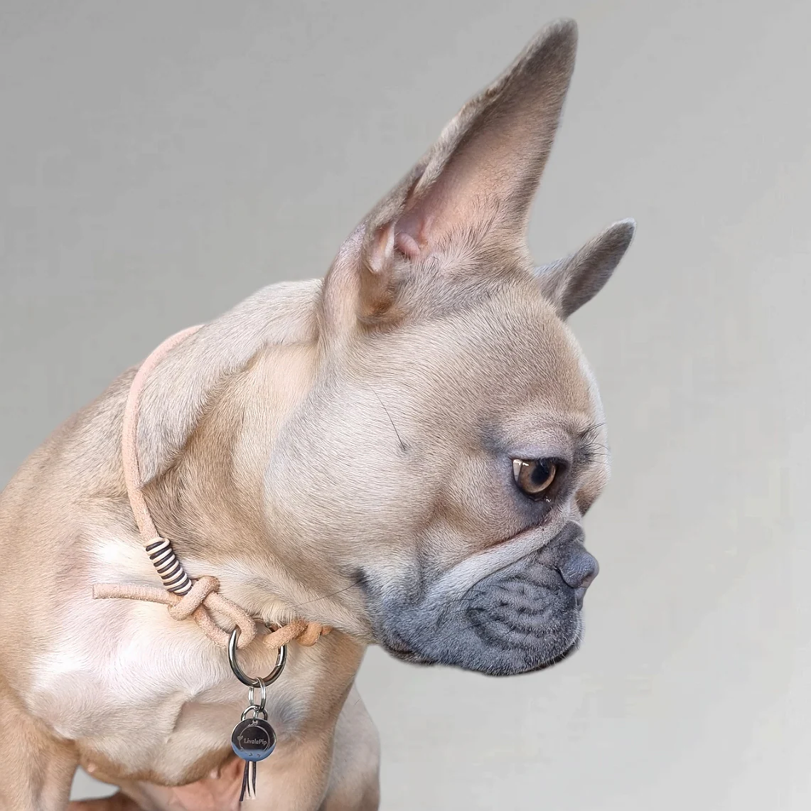 LivalaPip™ – ID Collar – Leer – Grijs/Beige
