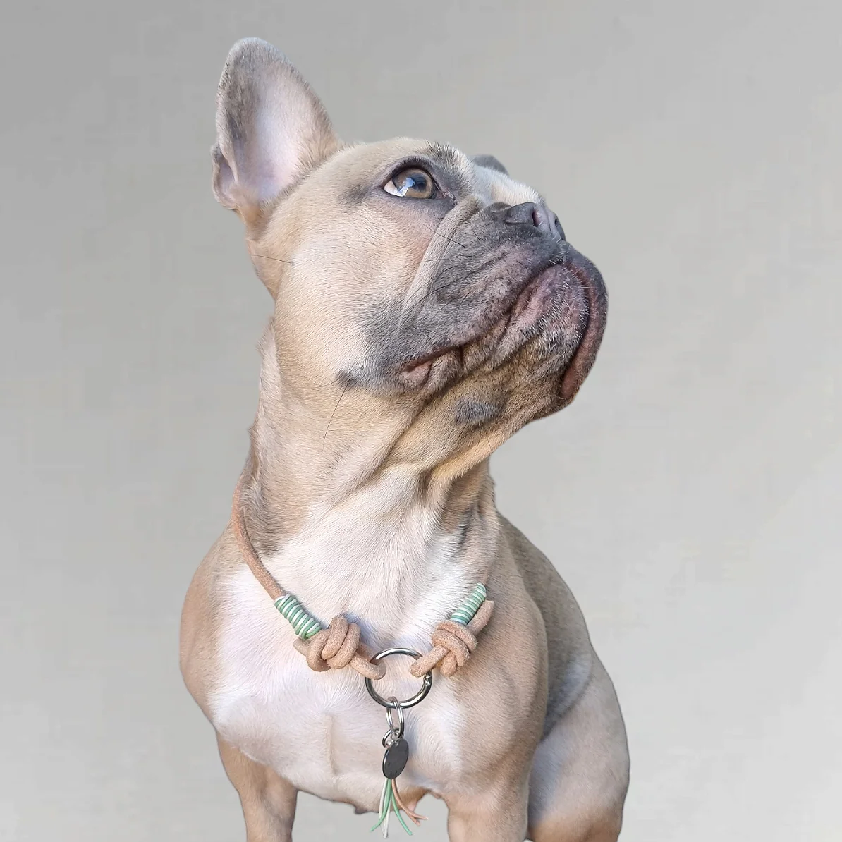 LivalaPip™ – ID Collar – Leer – Pastelgroen/Wit