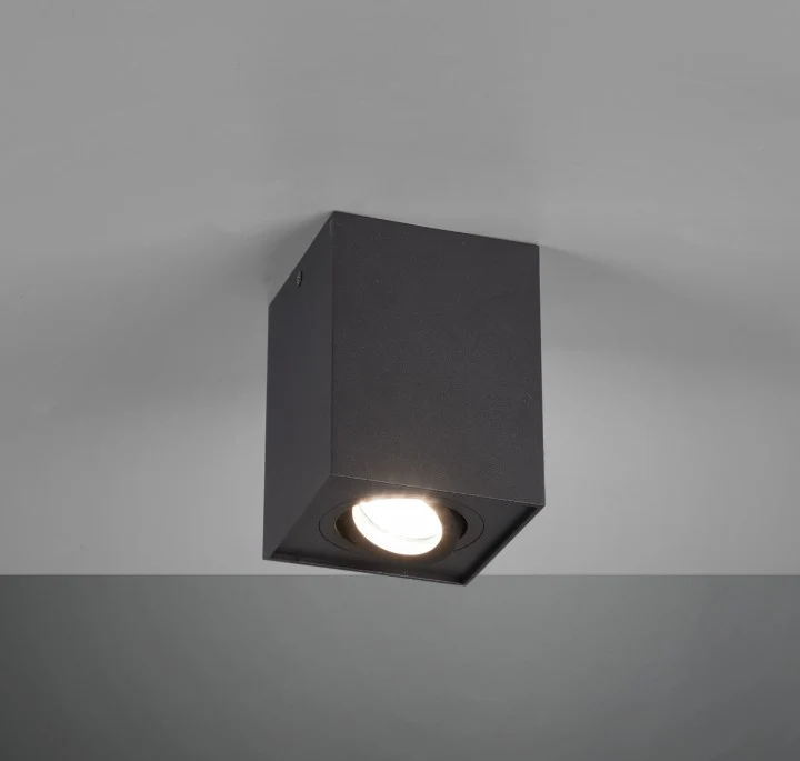 TRIO BISCUIT Plafondlamp Zwart LED excl. GU10