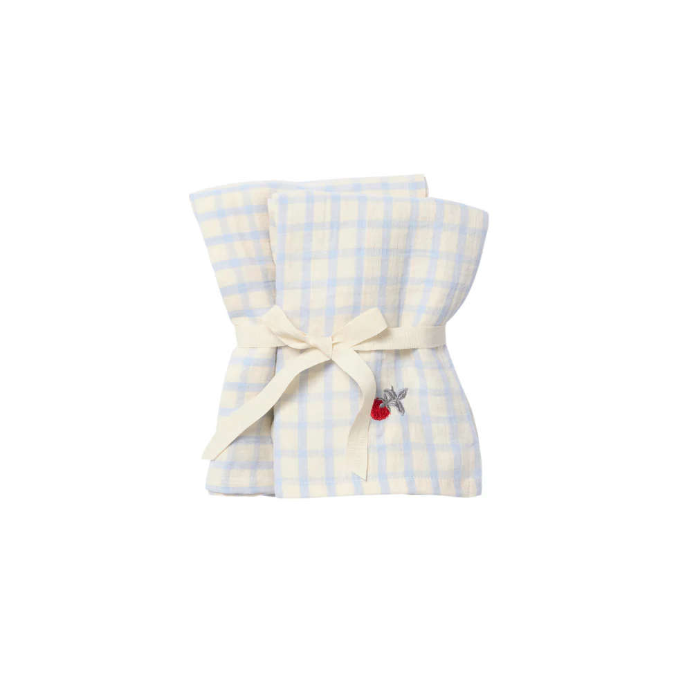 Hydrofiele doeken – Muslin Blanket – 2 paar – 60×60 cm – Gingham Sky Blue – Garbo&Friends