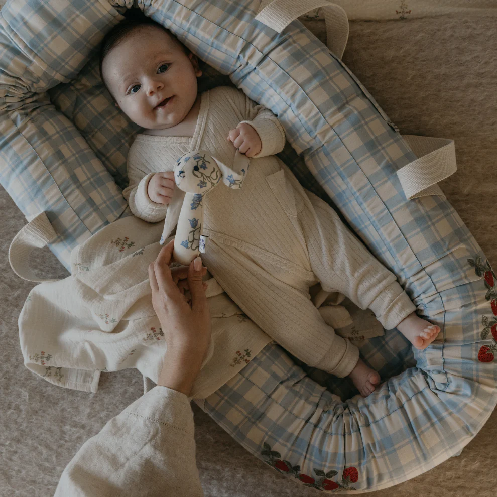 Baby Nest – Plaid Sky Blue – Babylft – Biologisch katoen – Geruit/Aardbeitjes – Garbo & Friends