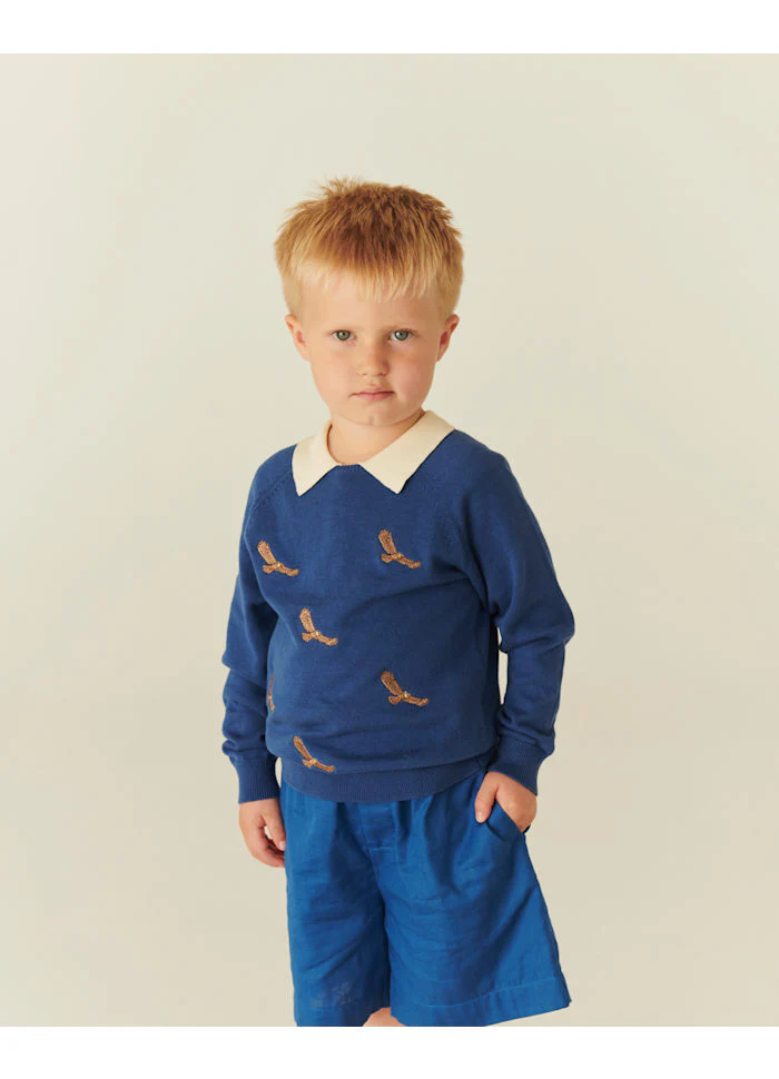 Dunne sweater Eagles – Biologisch katoen – Kobalt blauw – Copenhagen Colors