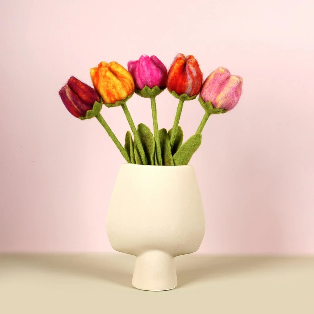 Bos Tulpen (5 stuks)