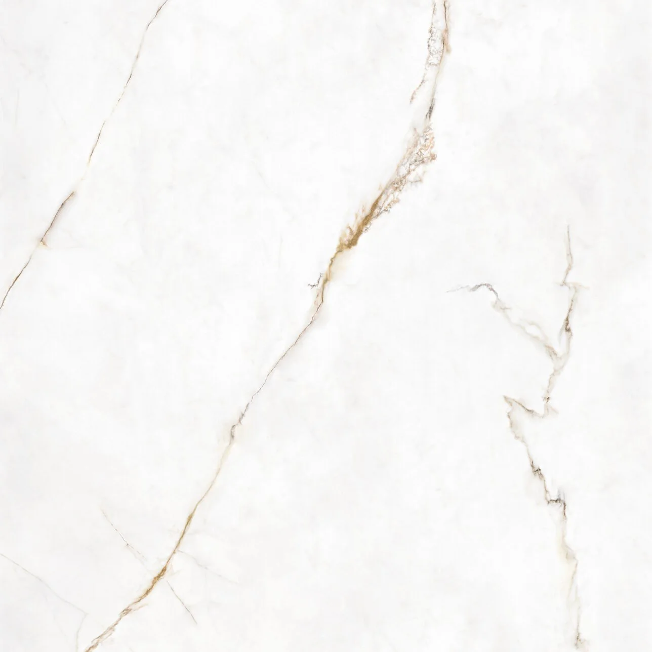 Energieker Dubai Gold Glans. 120×120