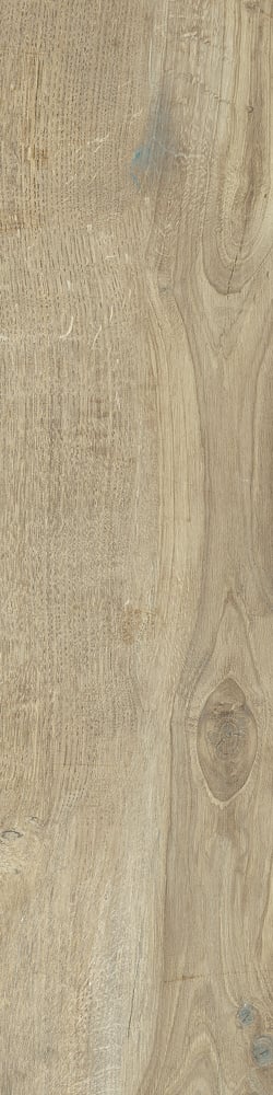 Castelvetro Woodland ELM 20×80 cm