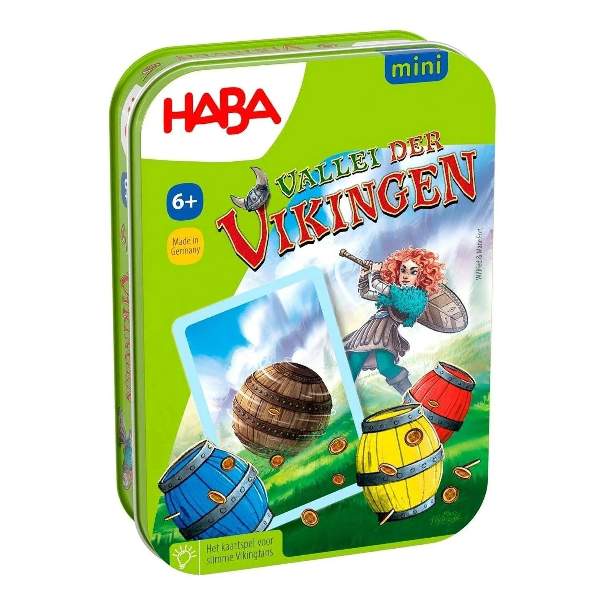 Vallei der Vikingen (metalen blik)