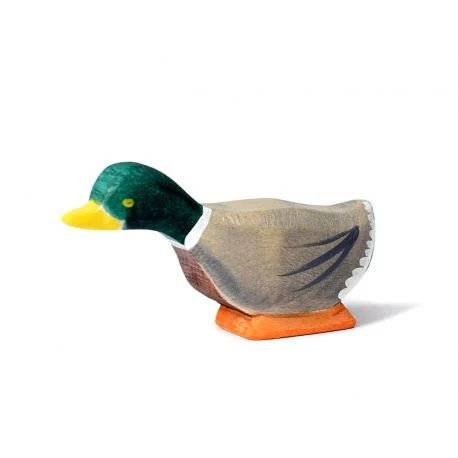 Houten Eend Nieuwsgierig