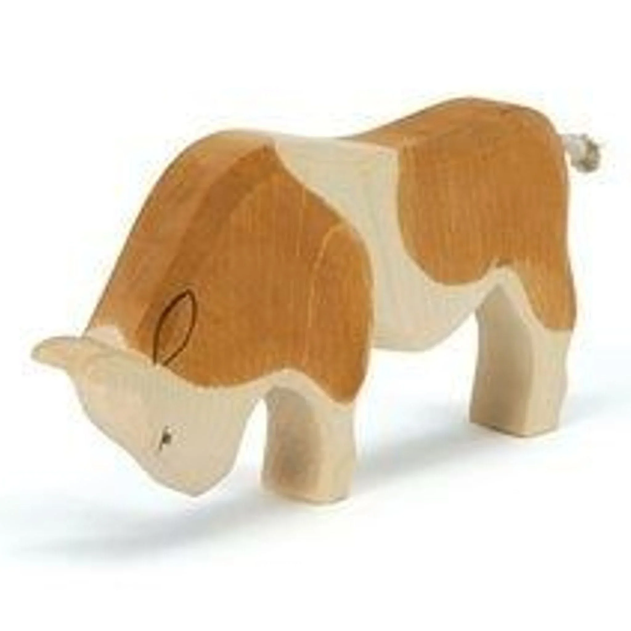 Stier bruin