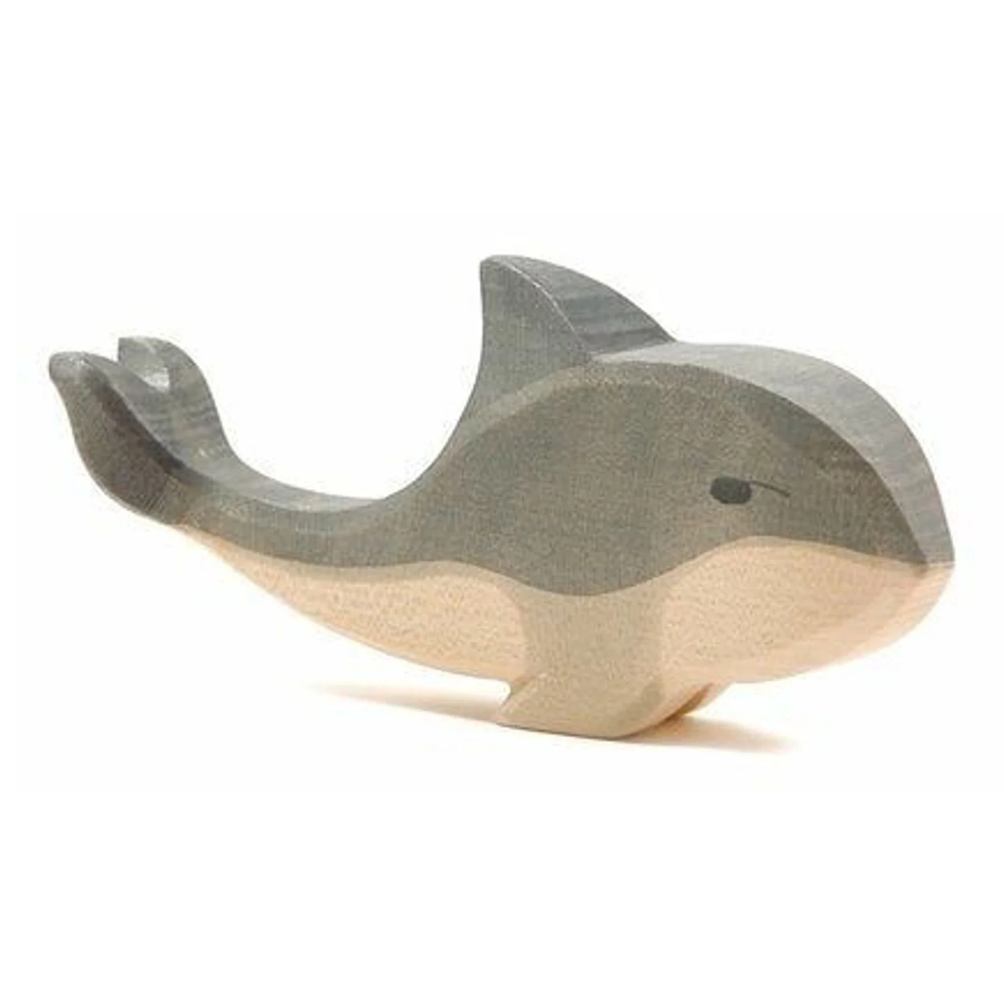 Walvis