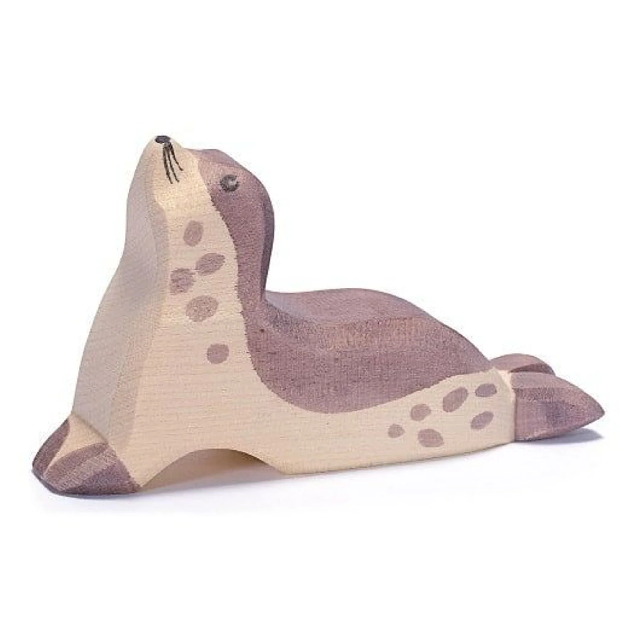 Zeehond hoofd omhoog